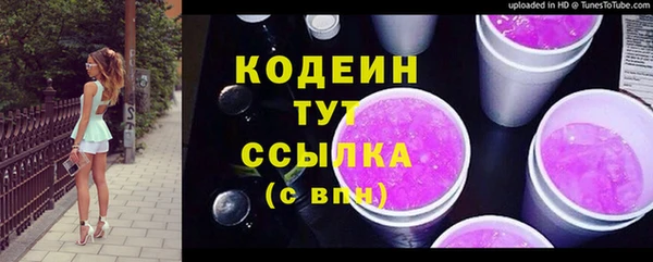 прущий лед Арсеньев